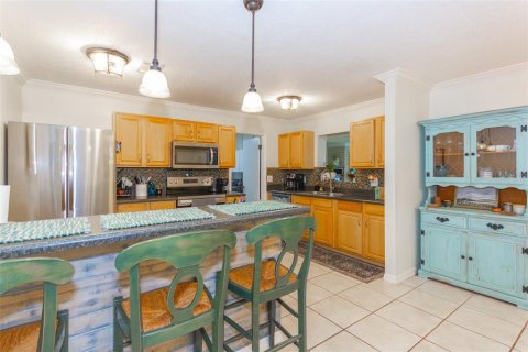 Villa ou maison à vendre à Thonotosassa, Floride: 5 chambres, 240.25 m2 № 2313476 - photo 7