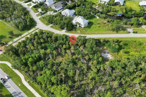 Land in Placida, Florida № 2379076 - photo 3