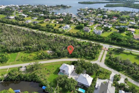 Land in Placida, Florida № 2379076 - photo 2