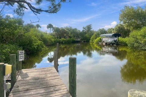 Land in Placida, Florida № 2379076 - photo 7