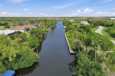 Land in Placida, Florida № 2379076 - photo 5