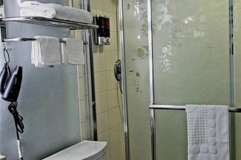 Casa en alquiler en Clearwater, Florida, 1 dormitorio, 54.81 m2 № 2108744 - foto 15