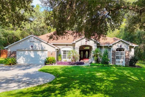 Villa ou maison à vendre à Floral City, Floride: 3 chambres, 221.66 m2 № 1900588 - photo 1