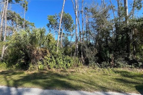 Land in Port Charlotte, Florida № 2165659