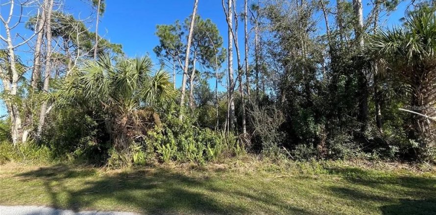 Land in Port Charlotte, Florida № 2165659