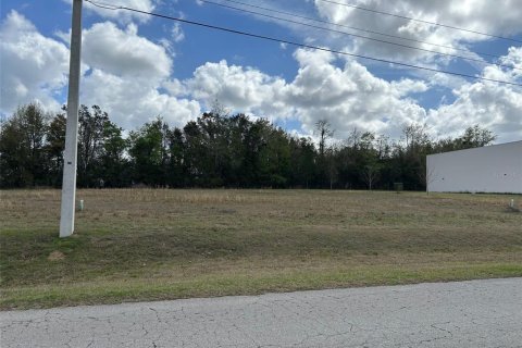 Terreno en venta en Alachua, Florida № 1918015 - foto 4