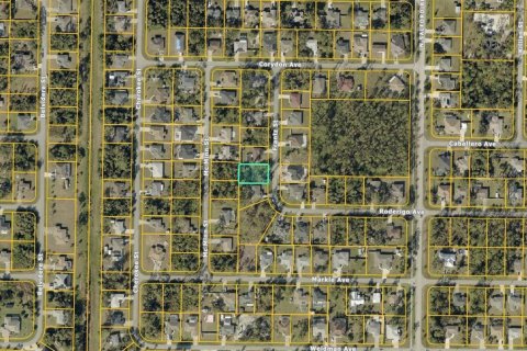 Land in North Port, Florida № 2162619 - photo 2