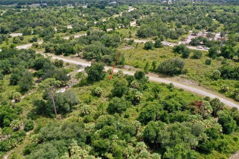 Land in North Port, Florida № 2226244 - photo 7