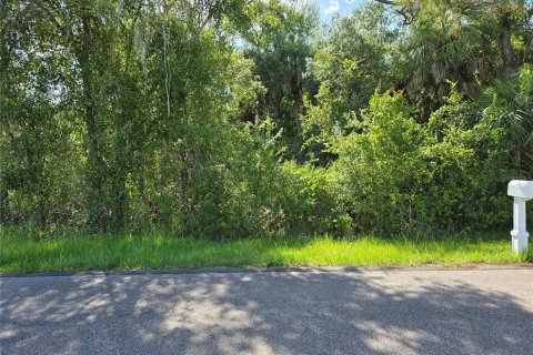 Land in Port Charlotte, Florida № 2224741