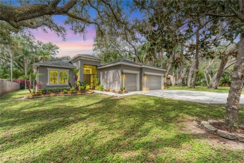 House in Temple Terrace, Florida 3 bedrooms, 209.4 sq.m. № 1789923 - photo 1