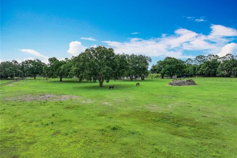 House in Umatilla, Florida 7 bedrooms, 192.59 sq.m. № 1771950 - photo 4