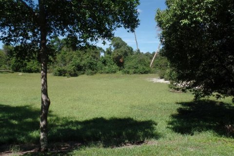 House in Weeki Wachee, Florida 3 bedrooms, 196.12 sq.m. № 2342461 - photo 29