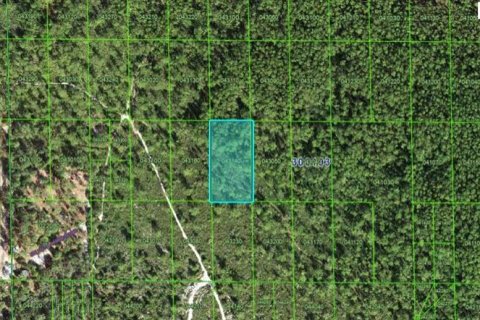 Terreno en Lake Wales, Florida № 2202863