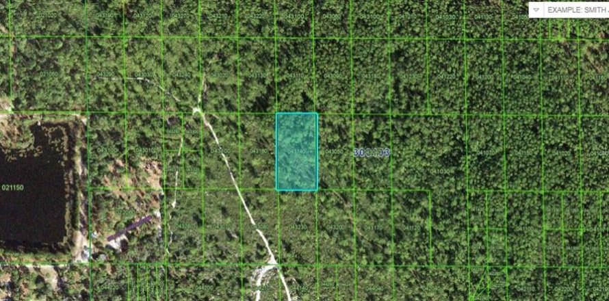 Terreno en Lake Wales, Florida № 2202863