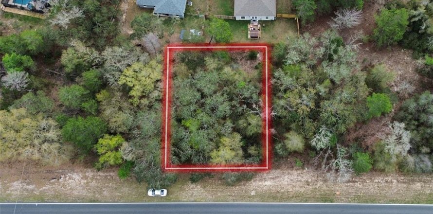 Land in Ocklawaha, Florida № 2160458