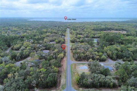 Land in Ocklawaha, Florida № 2160458 - photo 2