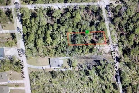 Land in DeLand, Florida № 2160867