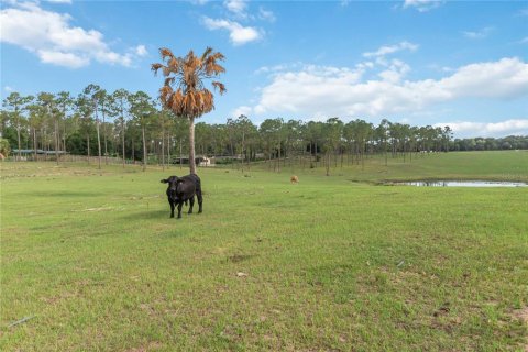 Terreno en venta en Howey-in-the-Hills, Florida № 2097345 - foto 19