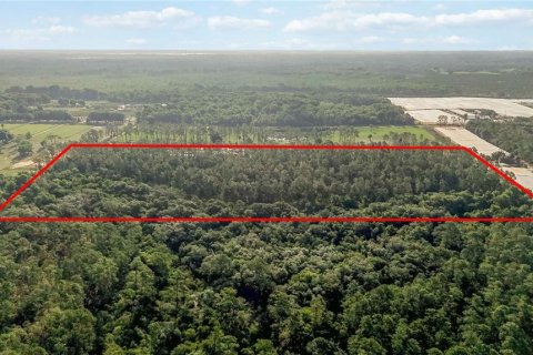 Terreno en venta en Howey-in-the-Hills, Florida № 2097345 - foto 2
