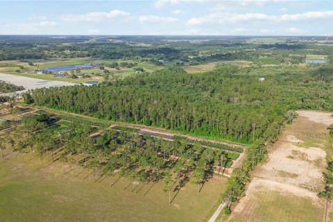Terreno en venta en Howey-in-the-Hills, Florida № 2097345 - foto 10
