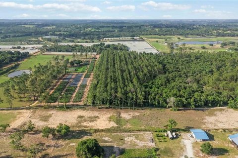 Terreno en venta en Howey-in-the-Hills, Florida № 2097345 - foto 12