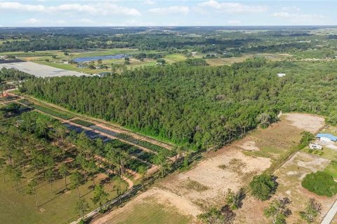 Terreno en venta en Howey-in-the-Hills, Florida № 2097345 - foto 11
