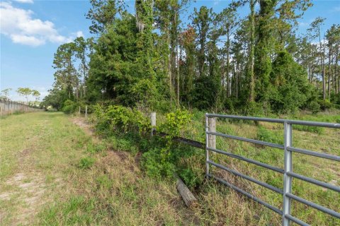 Terreno en venta en Howey-in-the-Hills, Florida № 2097345 - foto 3