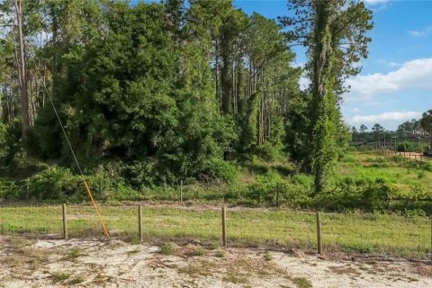 Terreno en venta en Howey-in-the-Hills, Florida № 2097345 - foto 4