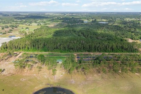 Terreno en venta en Howey-in-the-Hills, Florida № 2097345 - foto 18
