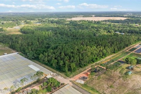 Terreno en venta en Howey-in-the-Hills, Florida № 2097345 - foto 16