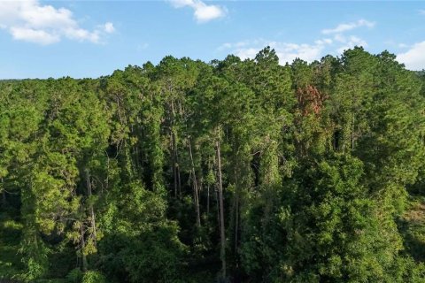 Terreno en venta en Howey-in-the-Hills, Florida № 2097345 - foto 5