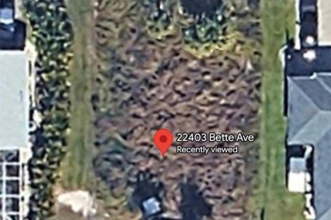 Land in Port Charlotte, Florida № 2329072