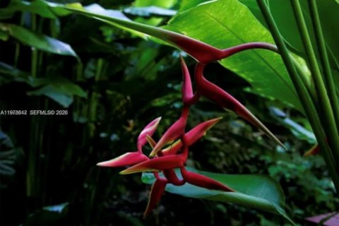 Condo in Miami, Florida, 3 bedrooms  № 2044476 - photo 21