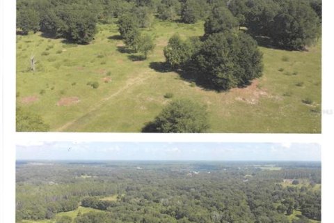 Land in Eustis, Florida № 2108537