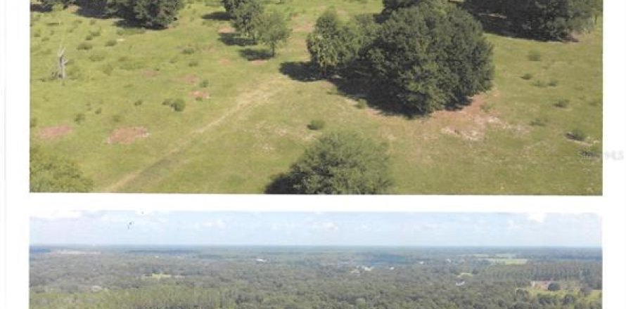 Terrain à Eustis, Floride № 2108537