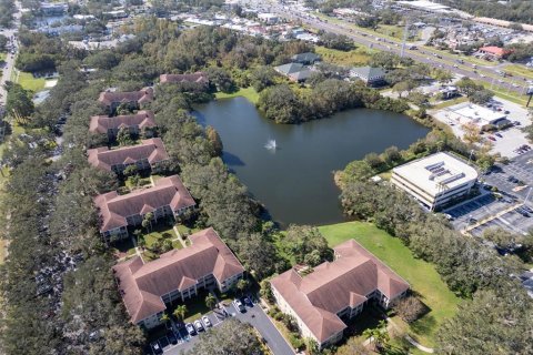Condo in Palm Harbor, Florida, 2 bedrooms  № 1833354 - photo 13