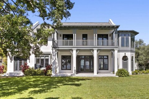 Villa ou maison à Tampa, Floride 5 chambres, 665.27 m2 № 2142562