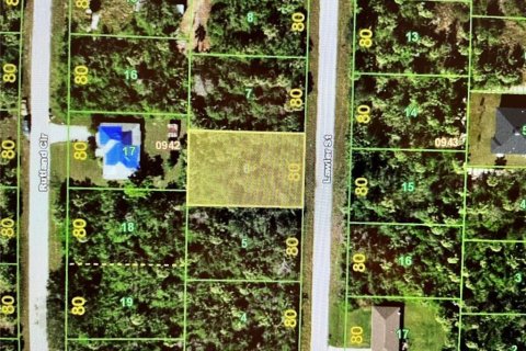 Land in Port Charlotte, Florida № 2164227 - photo 2