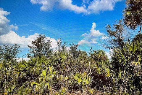 Land in Port Charlotte, Florida № 2164227