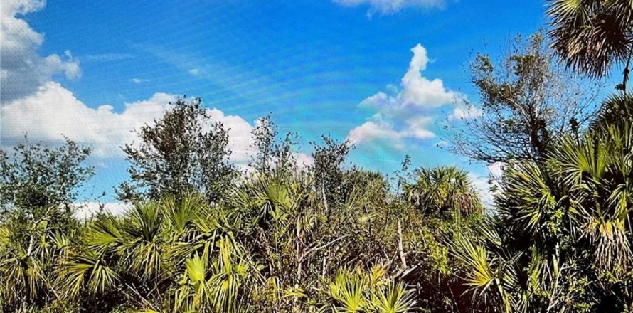 Land in Port Charlotte, Florida № 2164227