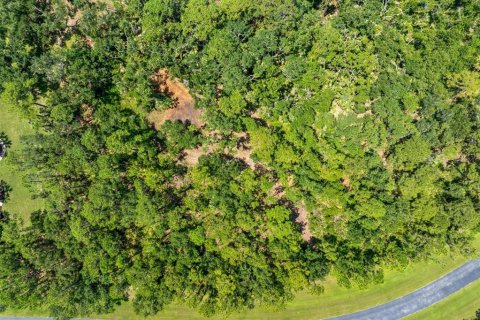 Terreno en venta en Sarasota, Florida № 1854562 - foto 23