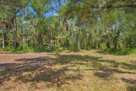 Terreno en venta en Sarasota, Florida № 1854562 - foto 10