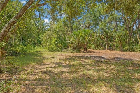 Terreno en venta en Sarasota, Florida № 1854562 - foto 9