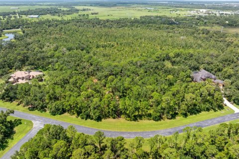 Terreno en venta en Sarasota, Florida № 1854562 - foto 15