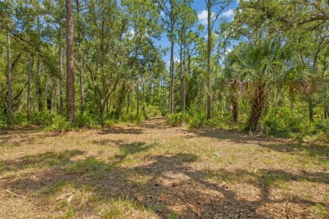 Terreno en venta en Sarasota, Florida № 1854562 - foto 12