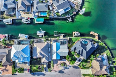 Villa ou maison à louer à Apollo Beach, Floride: 3 chambres, 191.29 m2 № 2102353 - photo 8