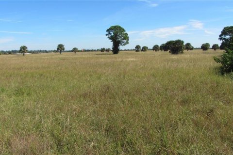 Land in Placida, Florida № 2165478 - photo 2