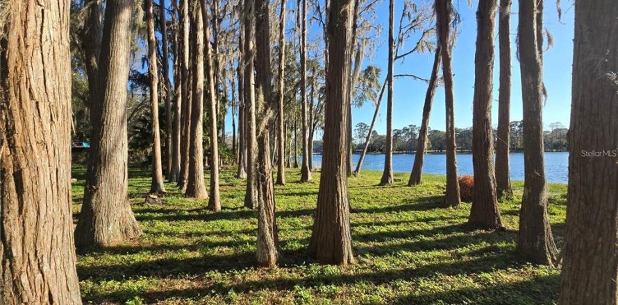 Terreno en Odessa, Florida № 1828102