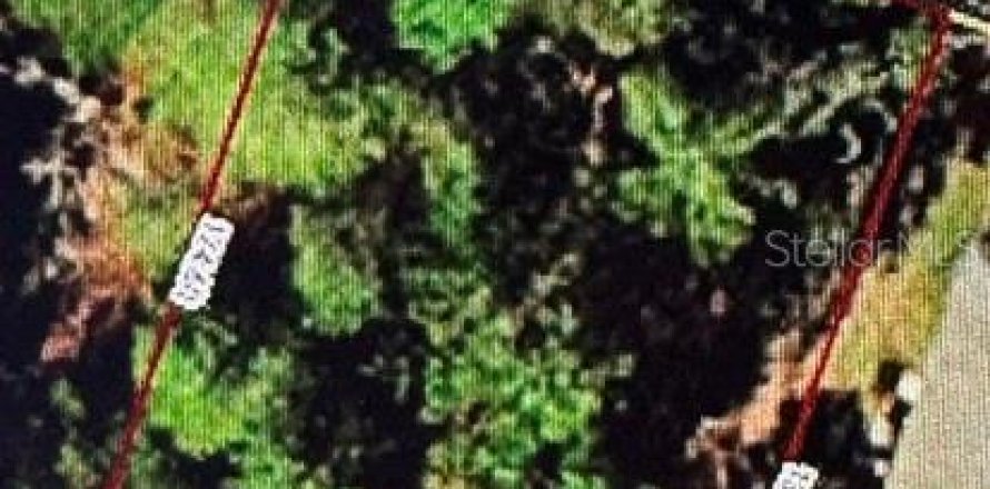 Terrain à Ocala, Floride № 2211044