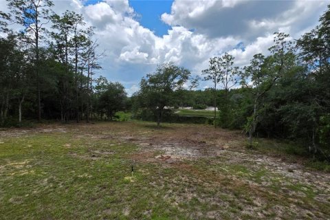 House in Hawthorne, Florida 3 bedrooms, 150.5 sq.m. № 2109883 - photo 23